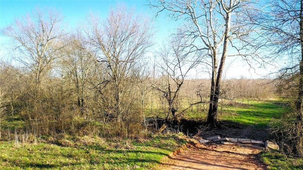 160.17 acres in Lamar County featured view