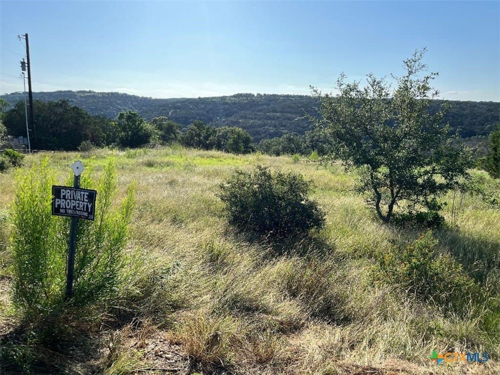 7.68 acres in Comal County gallery image 3
