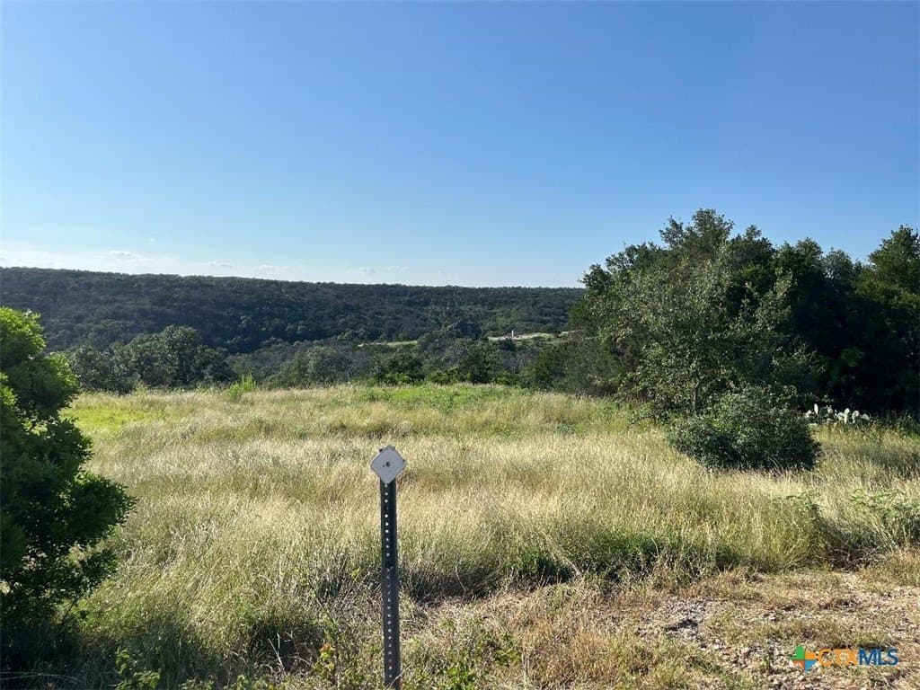 7.68 acres in Comal County gallery image 4