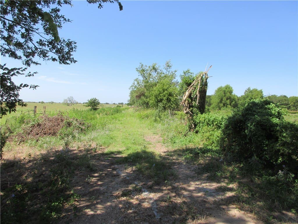 14.03 acres in Falls County gallery image 3