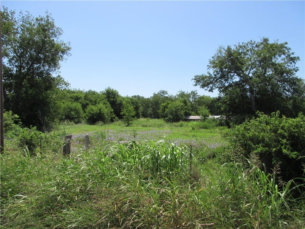 14.03 acres in Falls County gallery image 4