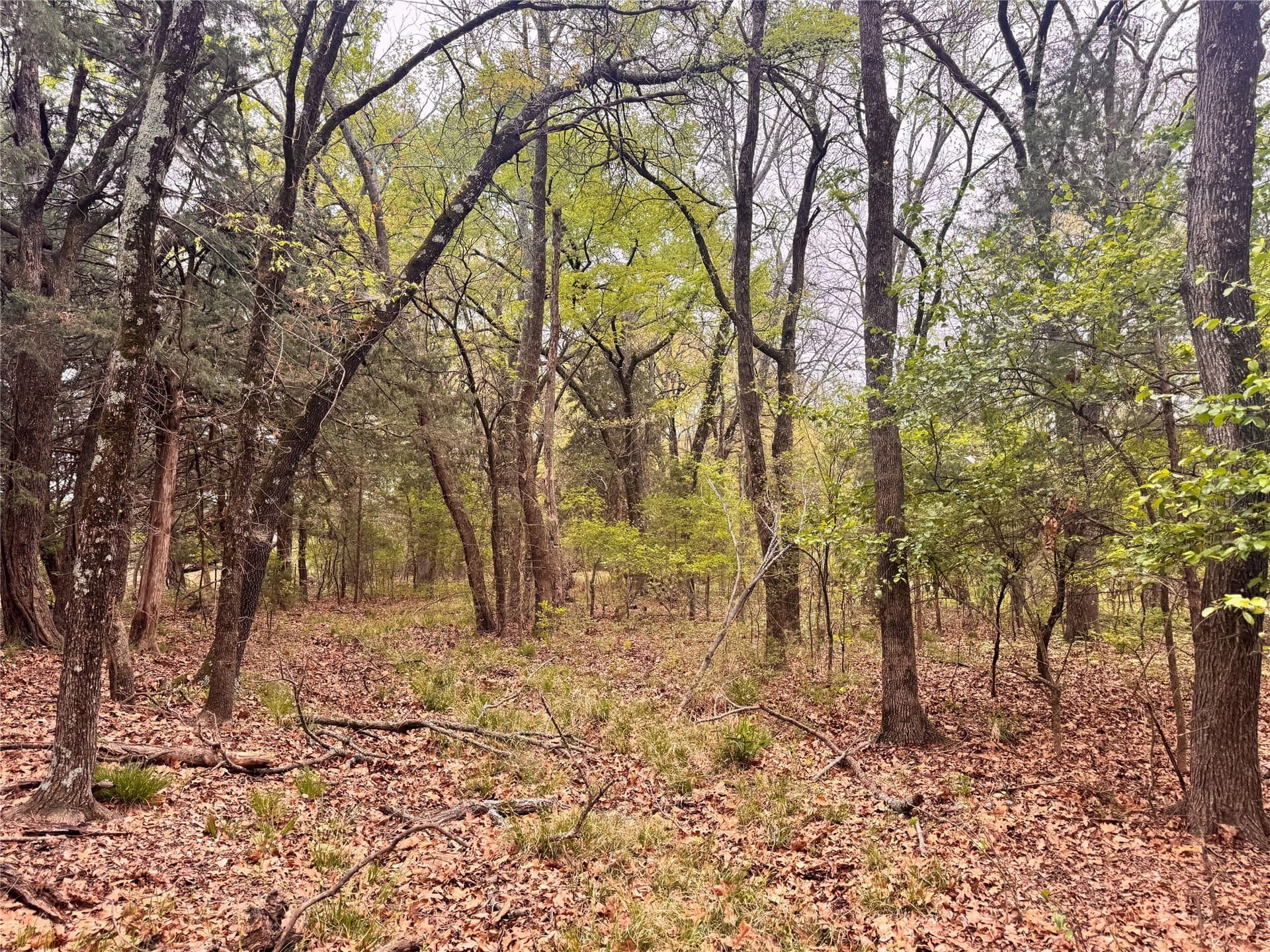 4.53 acres in Fannin County - photo 6