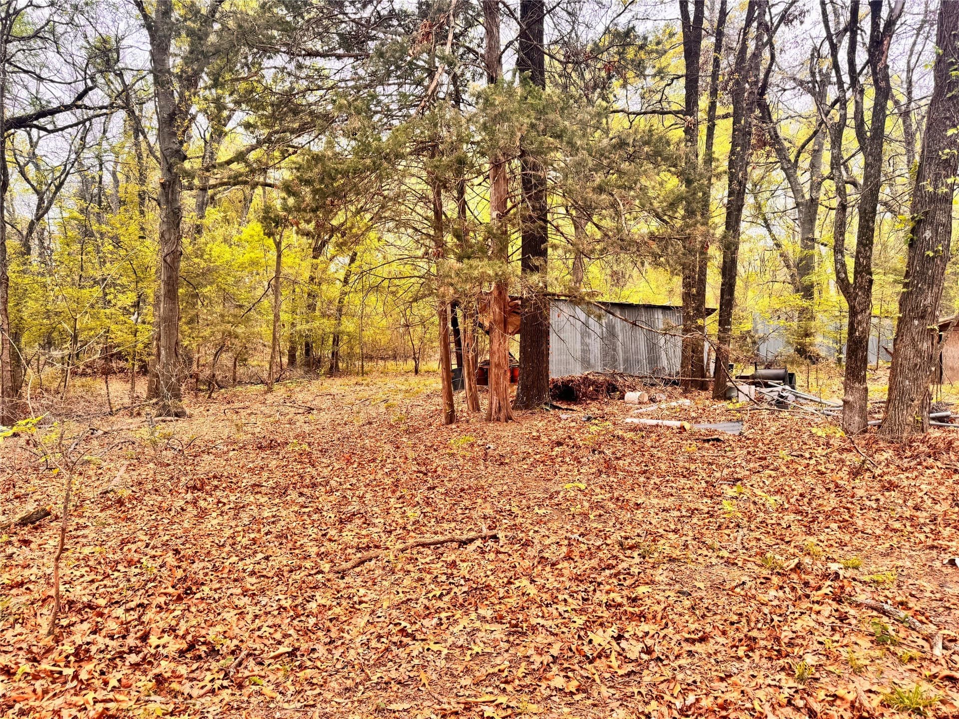 4.53 acres in Fannin County - photo 8
