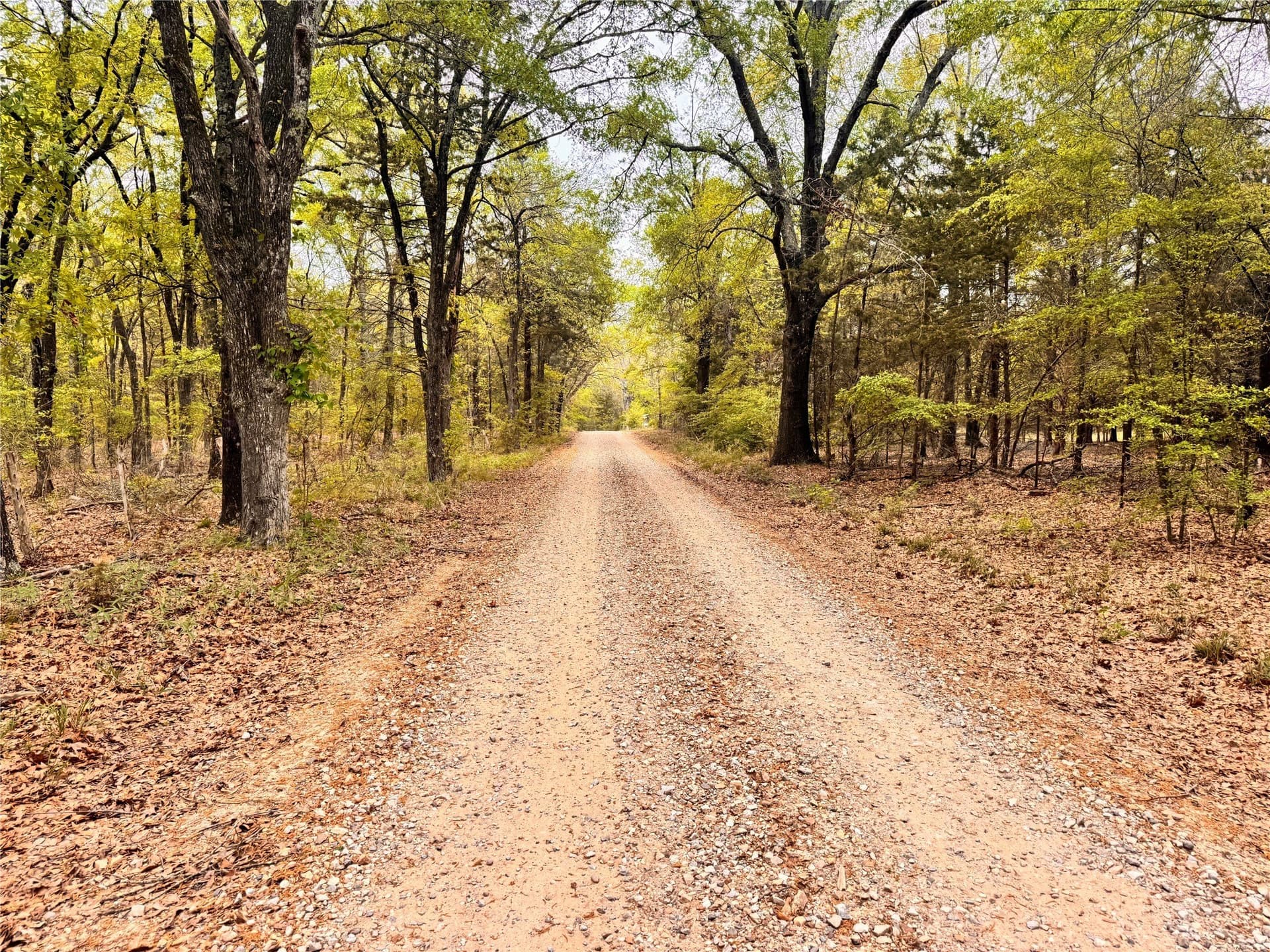 4.53 acres in Fannin County