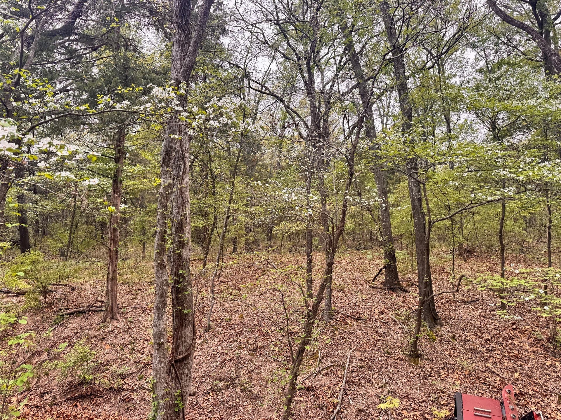 4.53 acres in Fannin County - photo 2