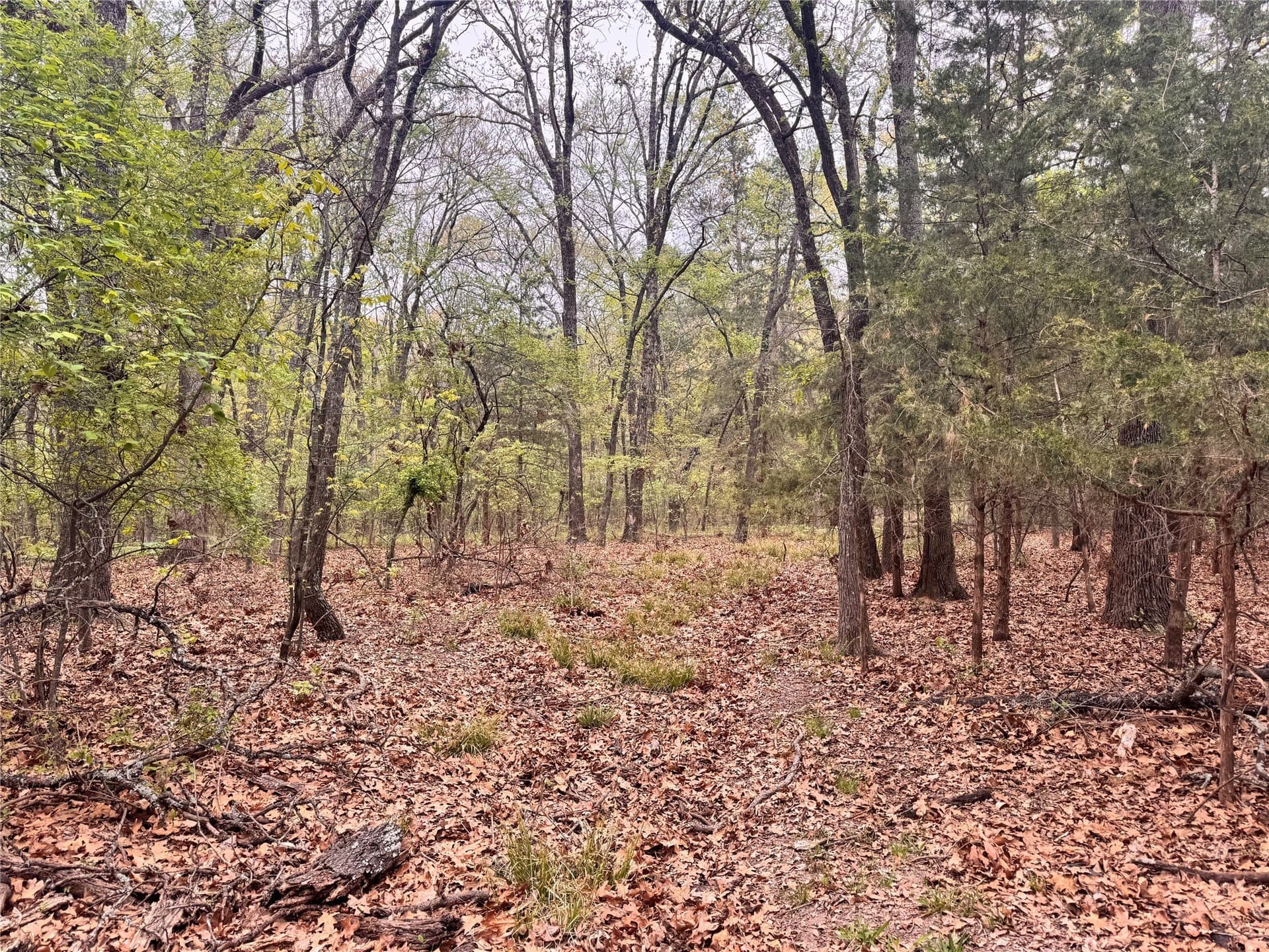 4.53 acres in Fannin County - photo 5