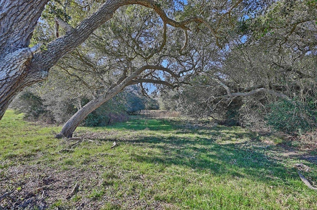125 acres in Colorado County gallery image 2