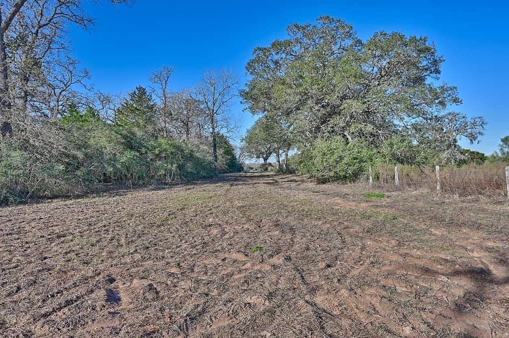 125 acres in Colorado County featured view