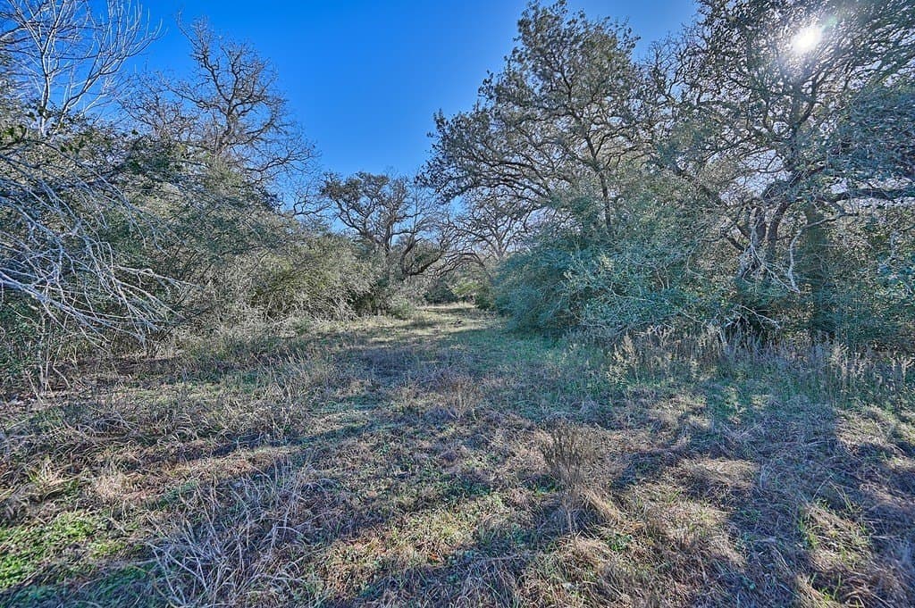 125 acres in Colorado County gallery image 4