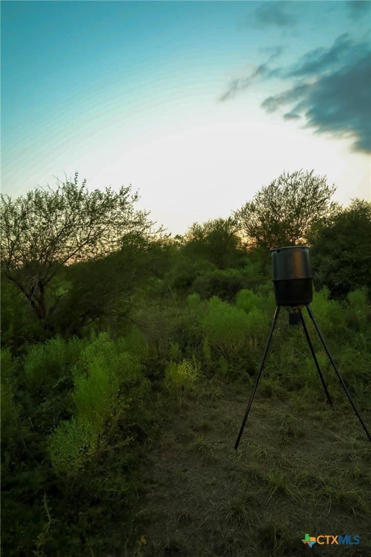 14.01 acres in Victoria County - photo 32