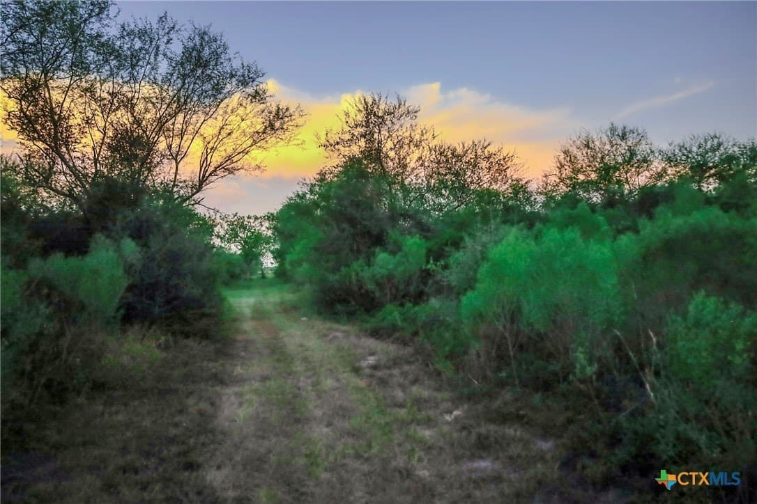 14.01 acres in Victoria County - photo 33