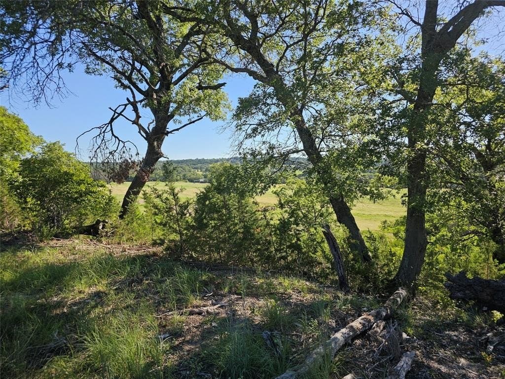 29.38 acres in Coryell County featured view