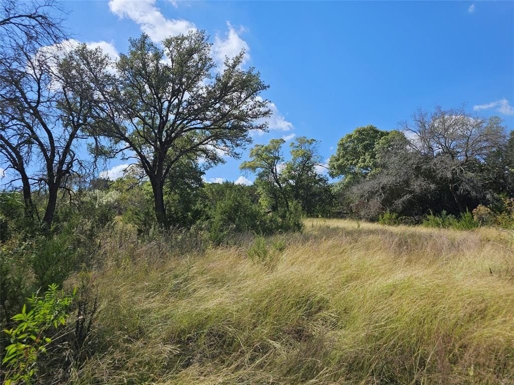 29.38 acres in Coryell County gallery image 4