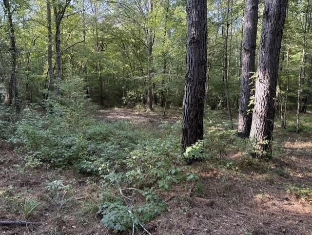 44.22 acres in Marion County - photo 9