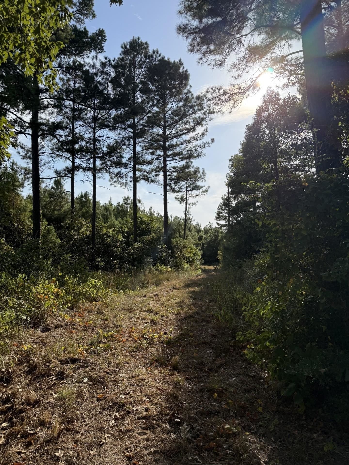 44.22 acres in Marion County