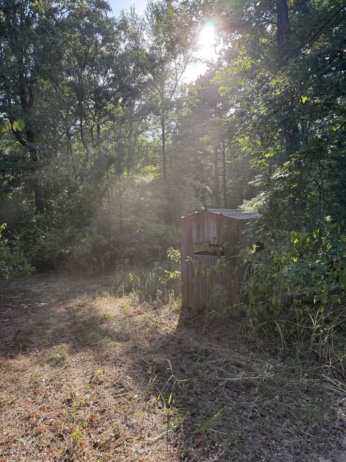 44.22 acres in Marion County - photo 4