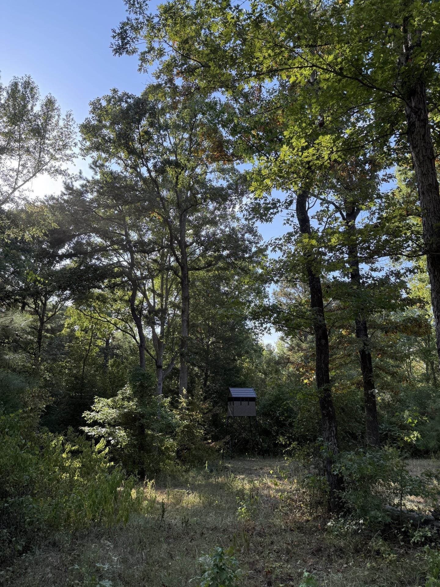 44.22 acres in Marion County - photo 12