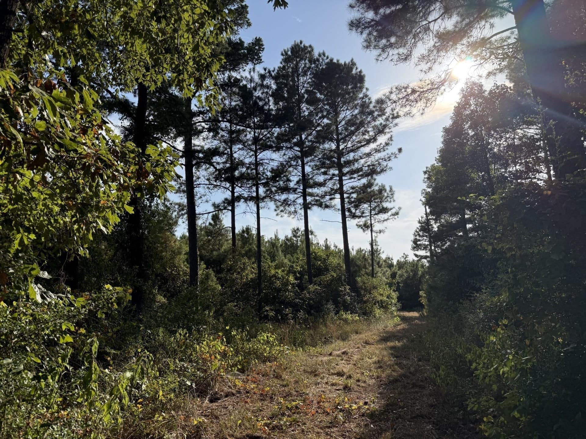44.22 acres in Marion County - photo 8
