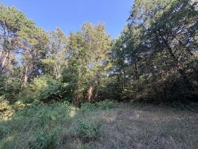 44.22 acres in Marion County - photo 10