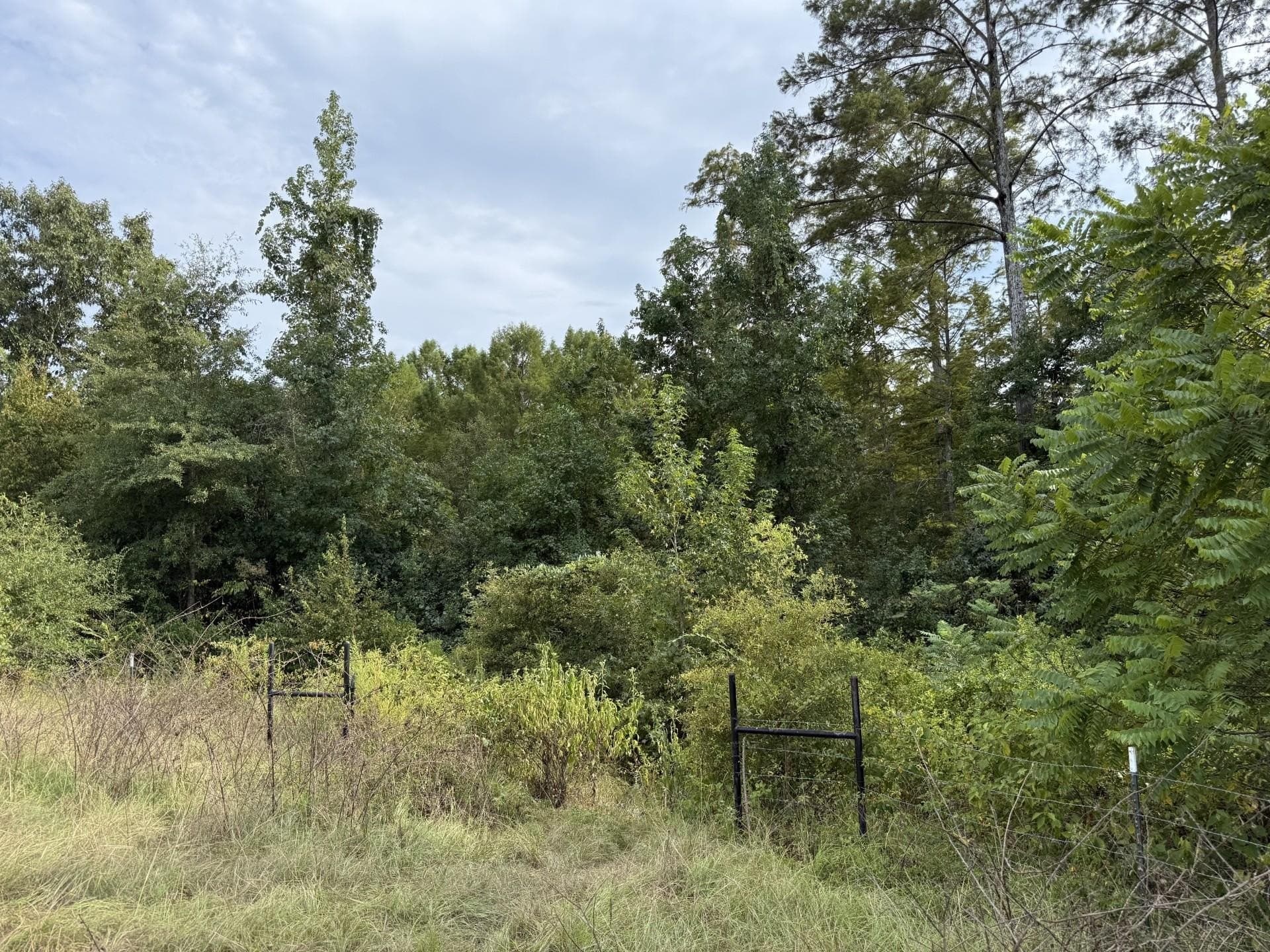 44.22 acres in Marion County - photo 2
