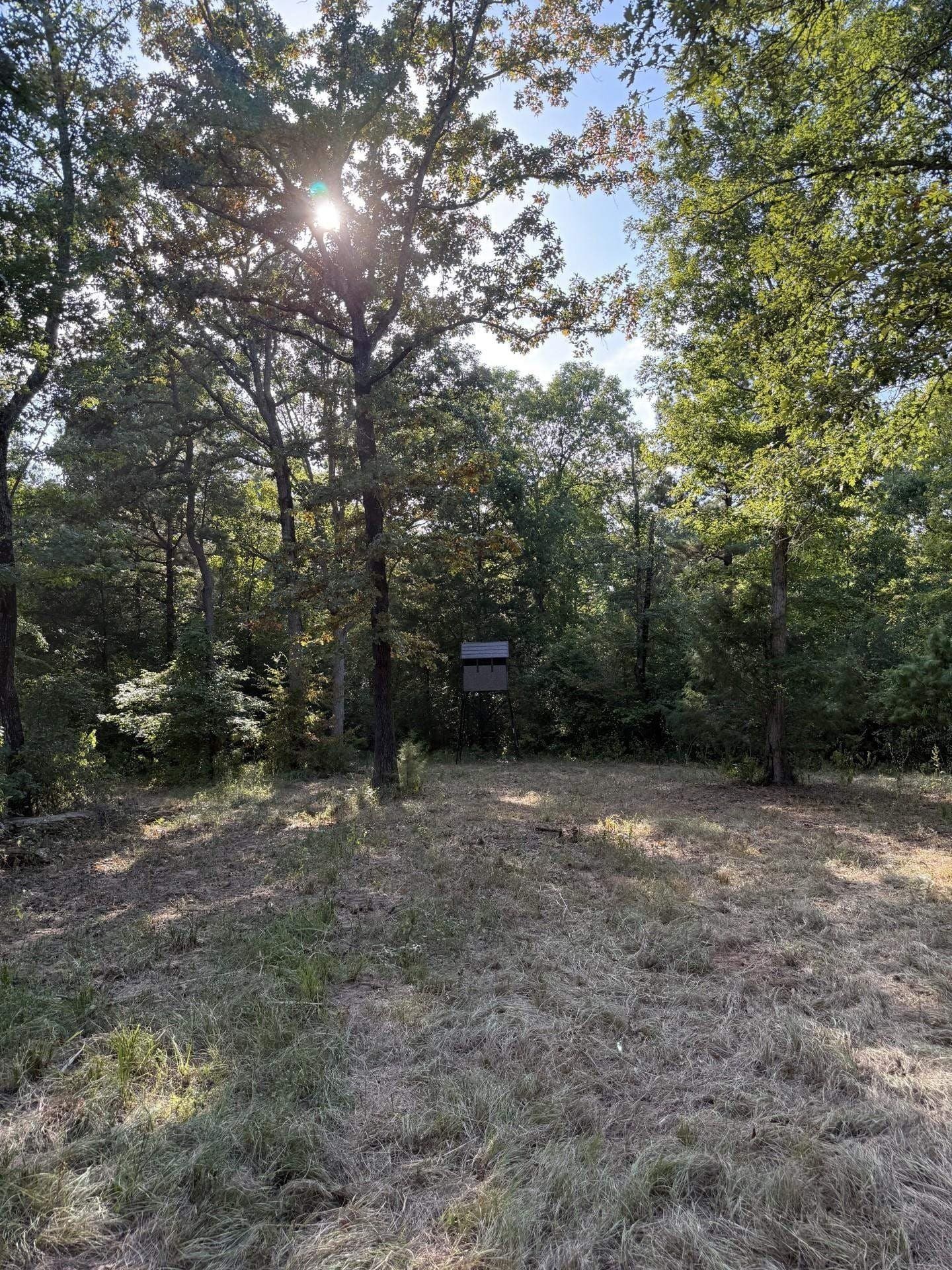 44.22 acres in Marion County - photo 11
