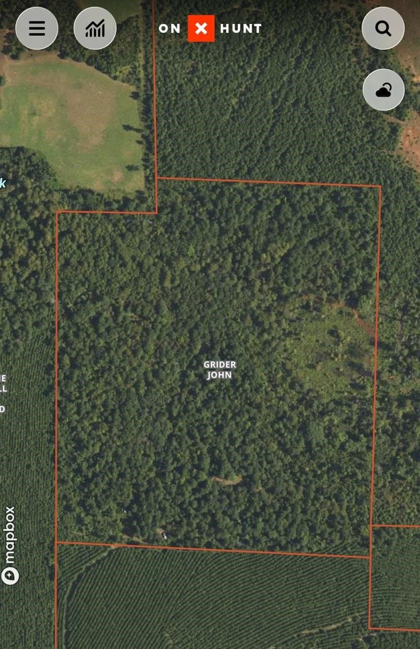 44.22 acres in Marion County - photo 13