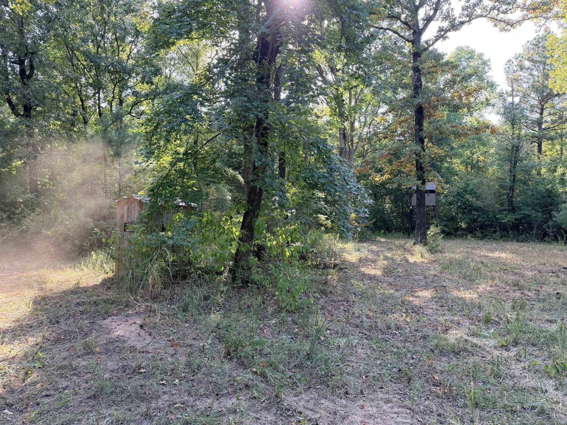 44.22 acres in Marion County - photo 5