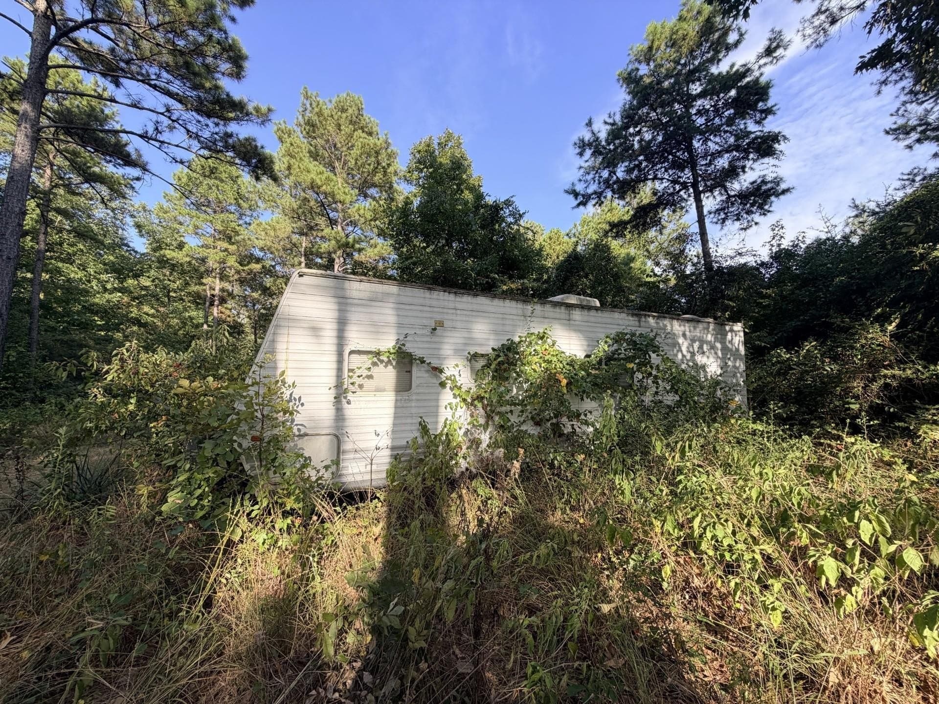 44.22 acres in Marion County - photo 3