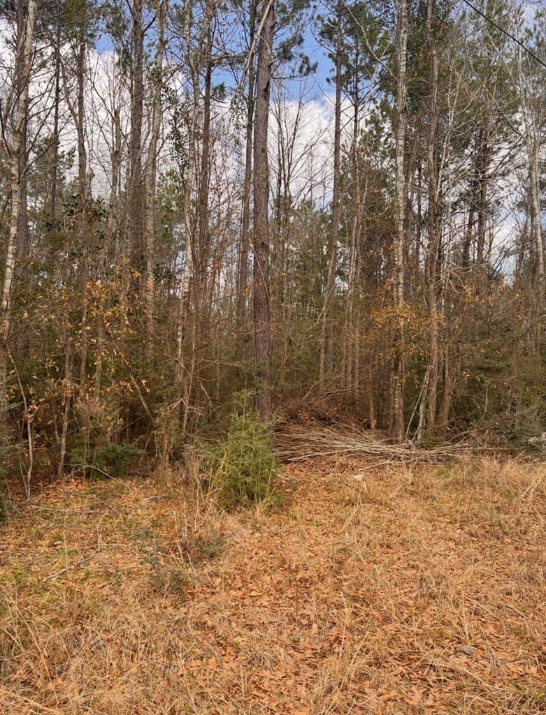 15.45 acres in Texas County - photo 5