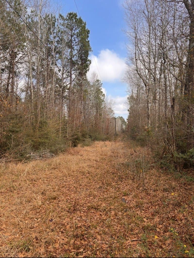 15.45 acres in Texas County - photo 4