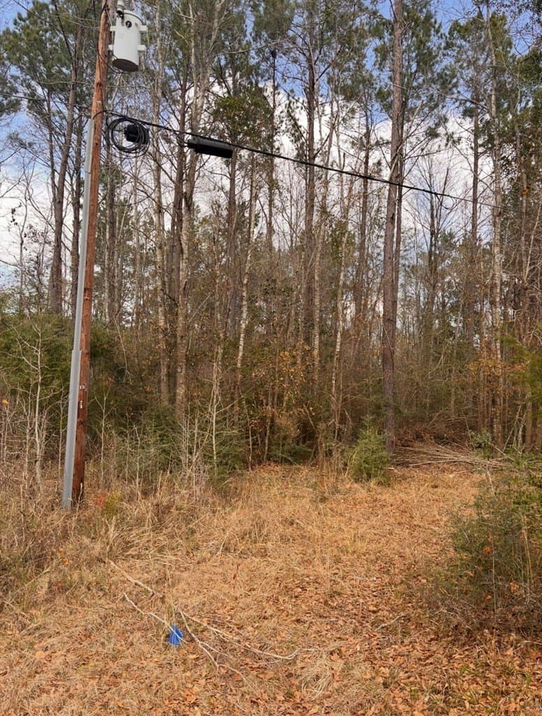 15.45 acres in Texas County - photo 2