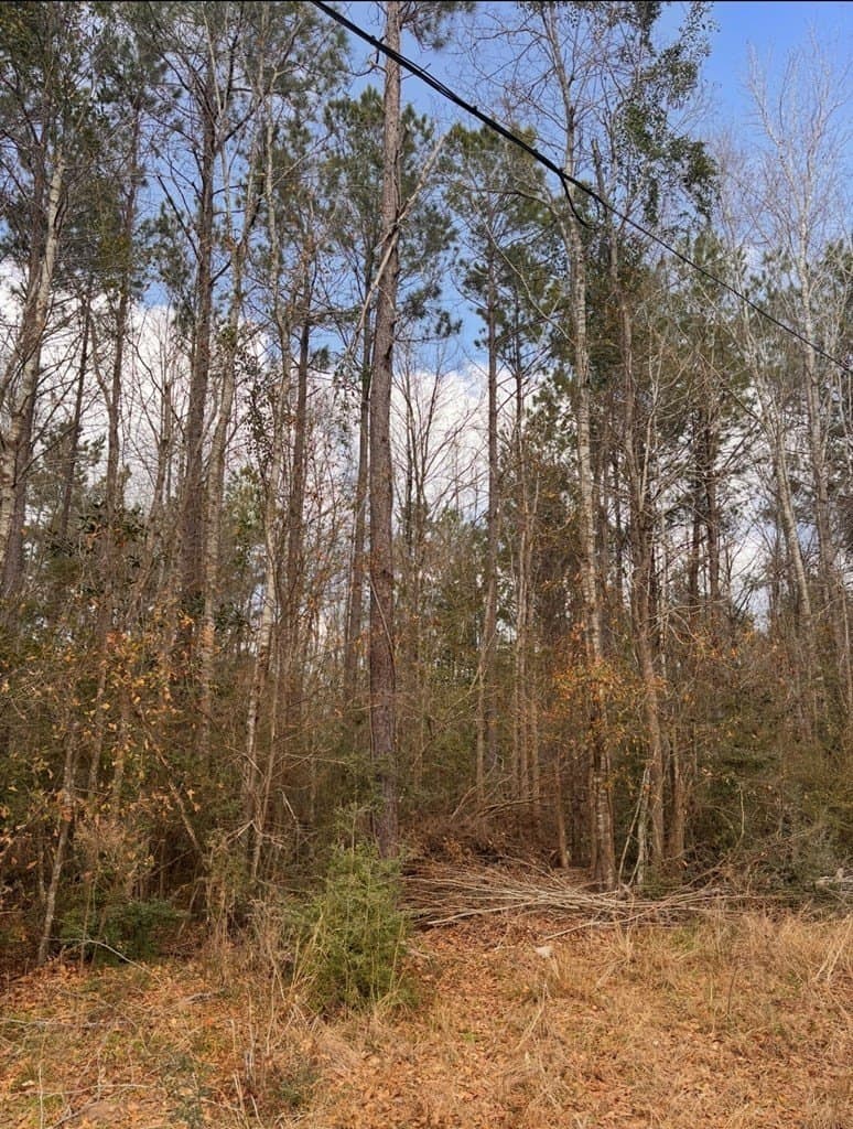 15.45 acres in Texas County - photo 6