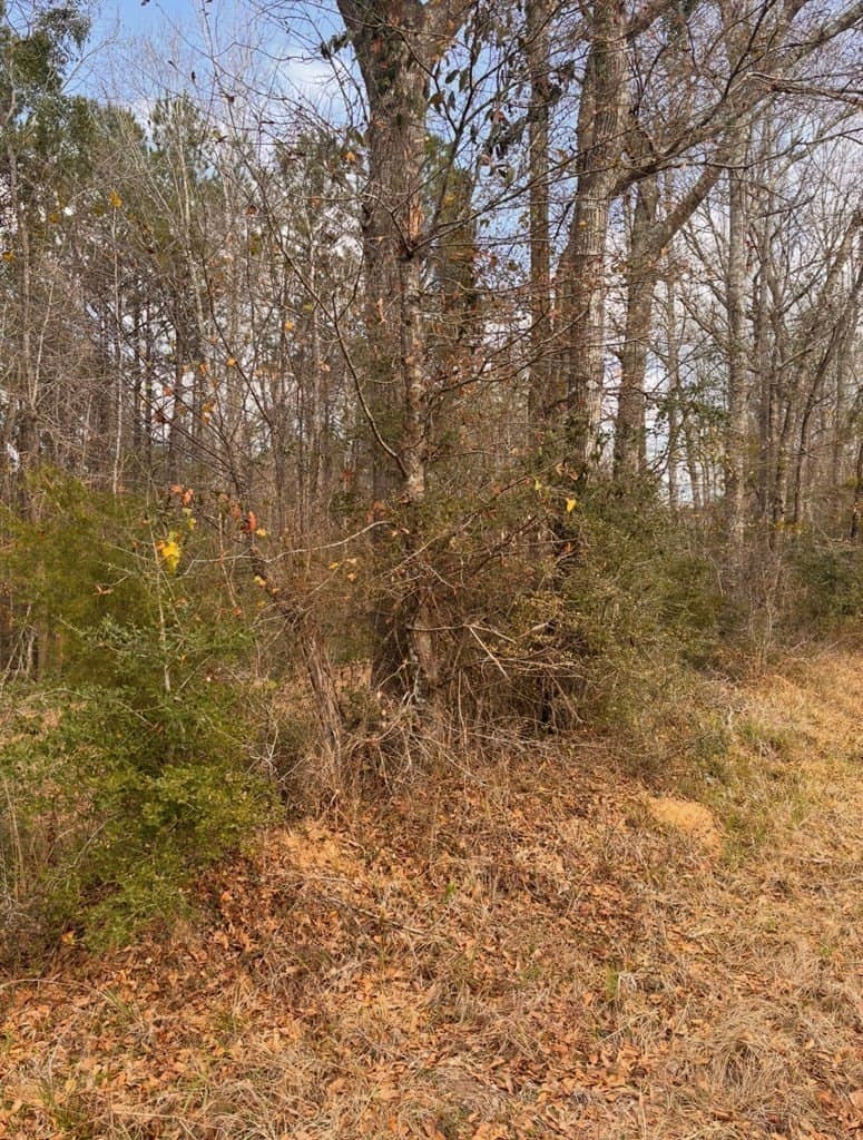 15.45 acres in Texas County - photo 3