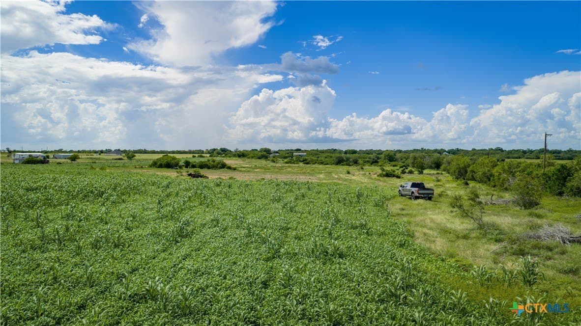 40.33 acres in Bexar County - photo 14