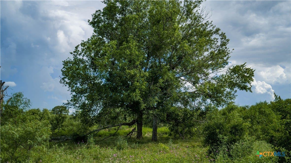 40.33 acres in Bexar County - photo 18