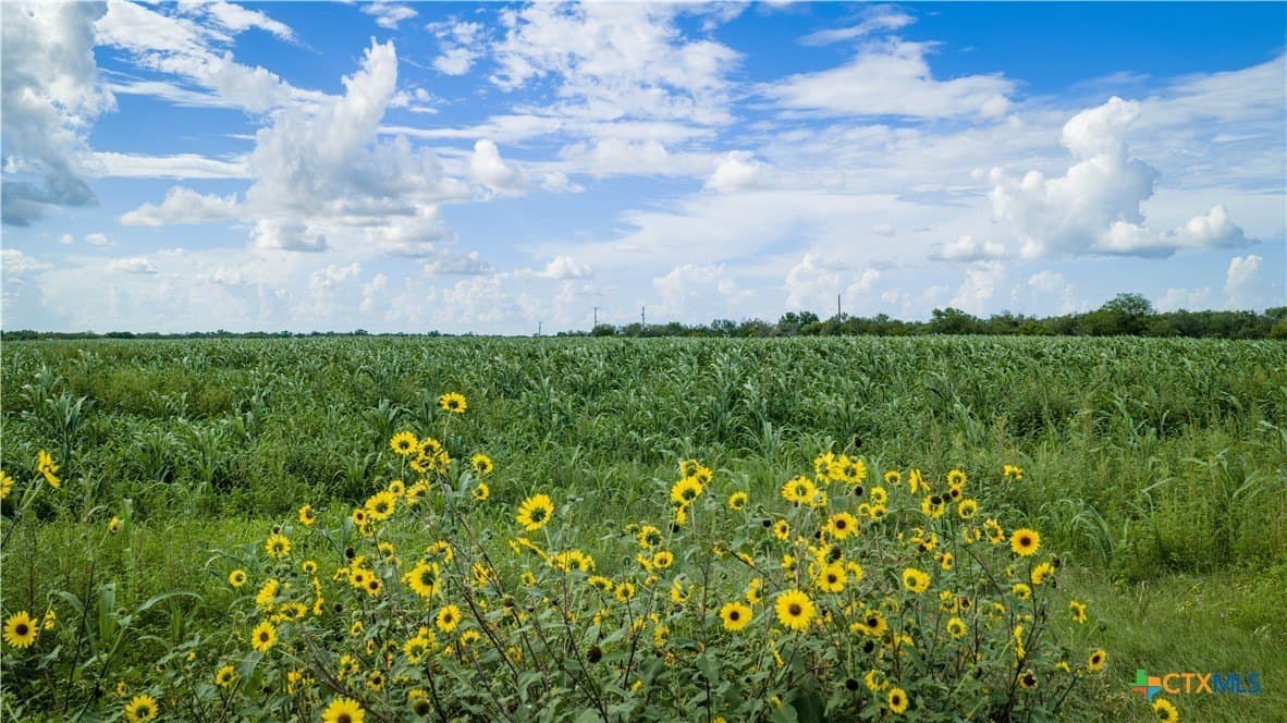 40.33 acres in Bexar County - photo 15
