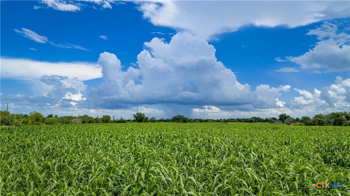 40.33 acres in Bexar County - photo 16