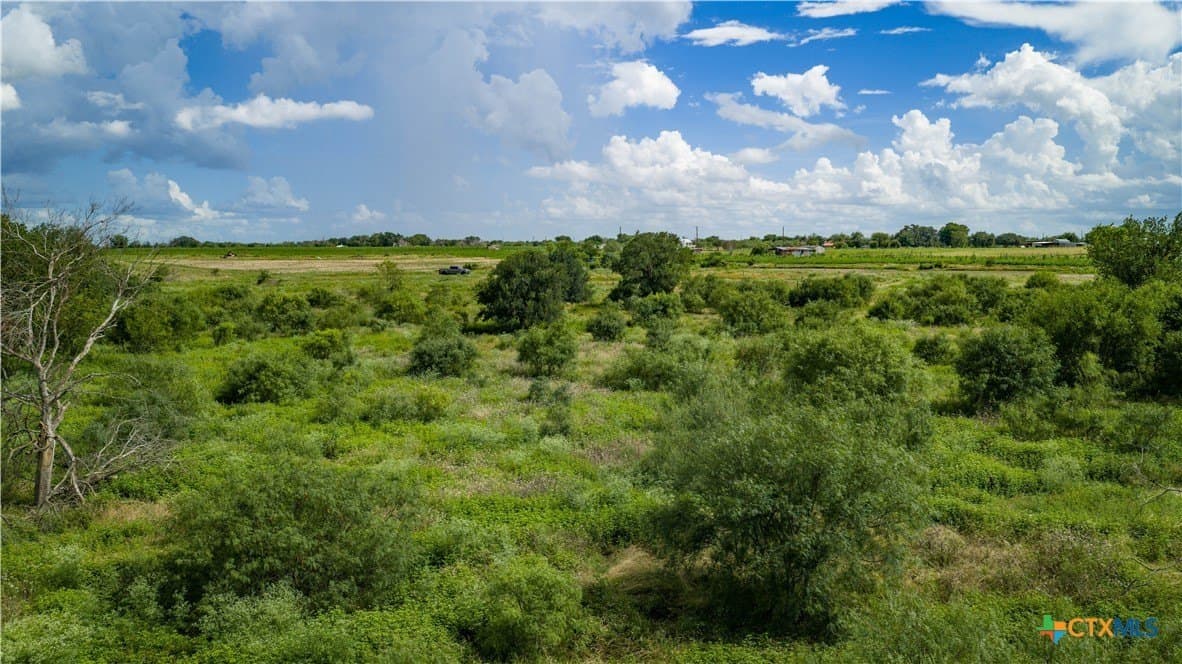 40.33 acres in Bexar County - photo 17
