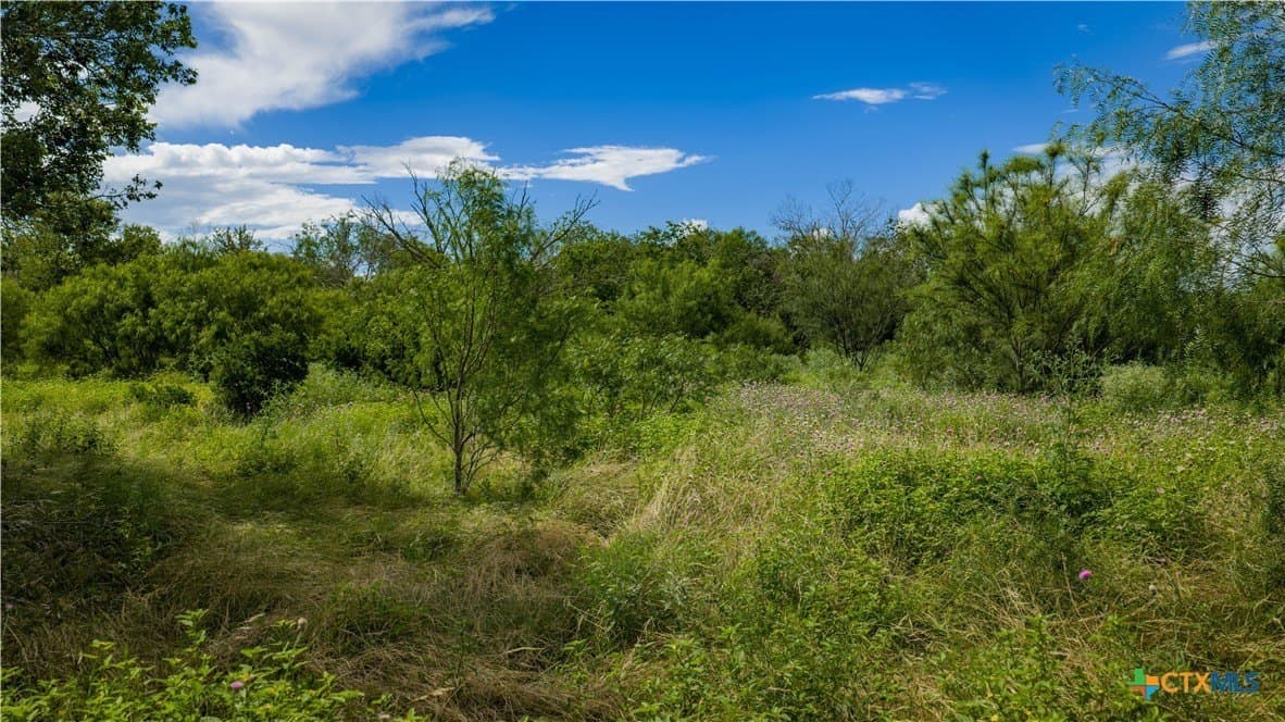 40.33 acres in Bexar County - photo 19