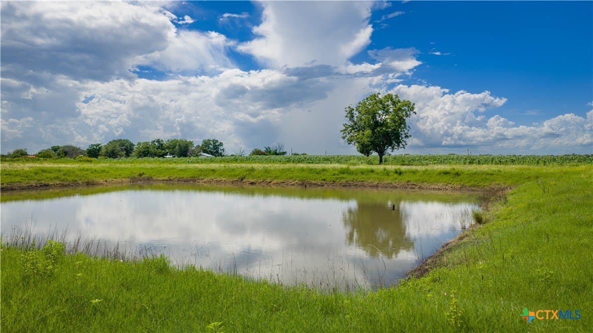 40.33 acres in Bexar County - photo 6