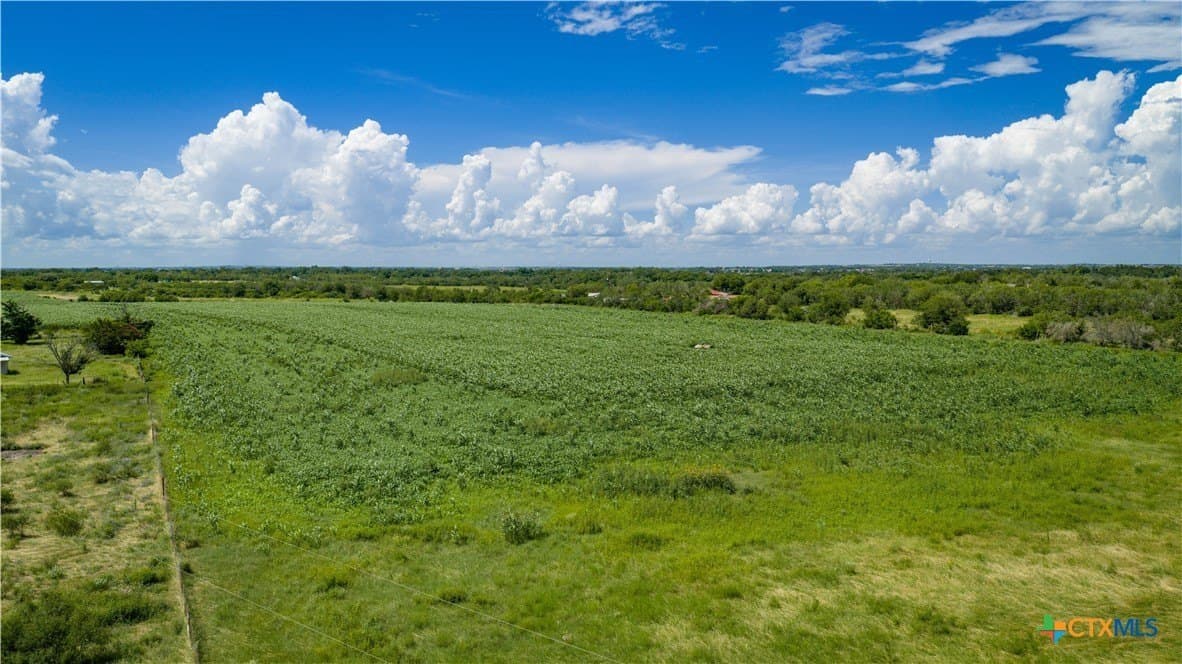 40.33 acres in Bexar County - photo 20
