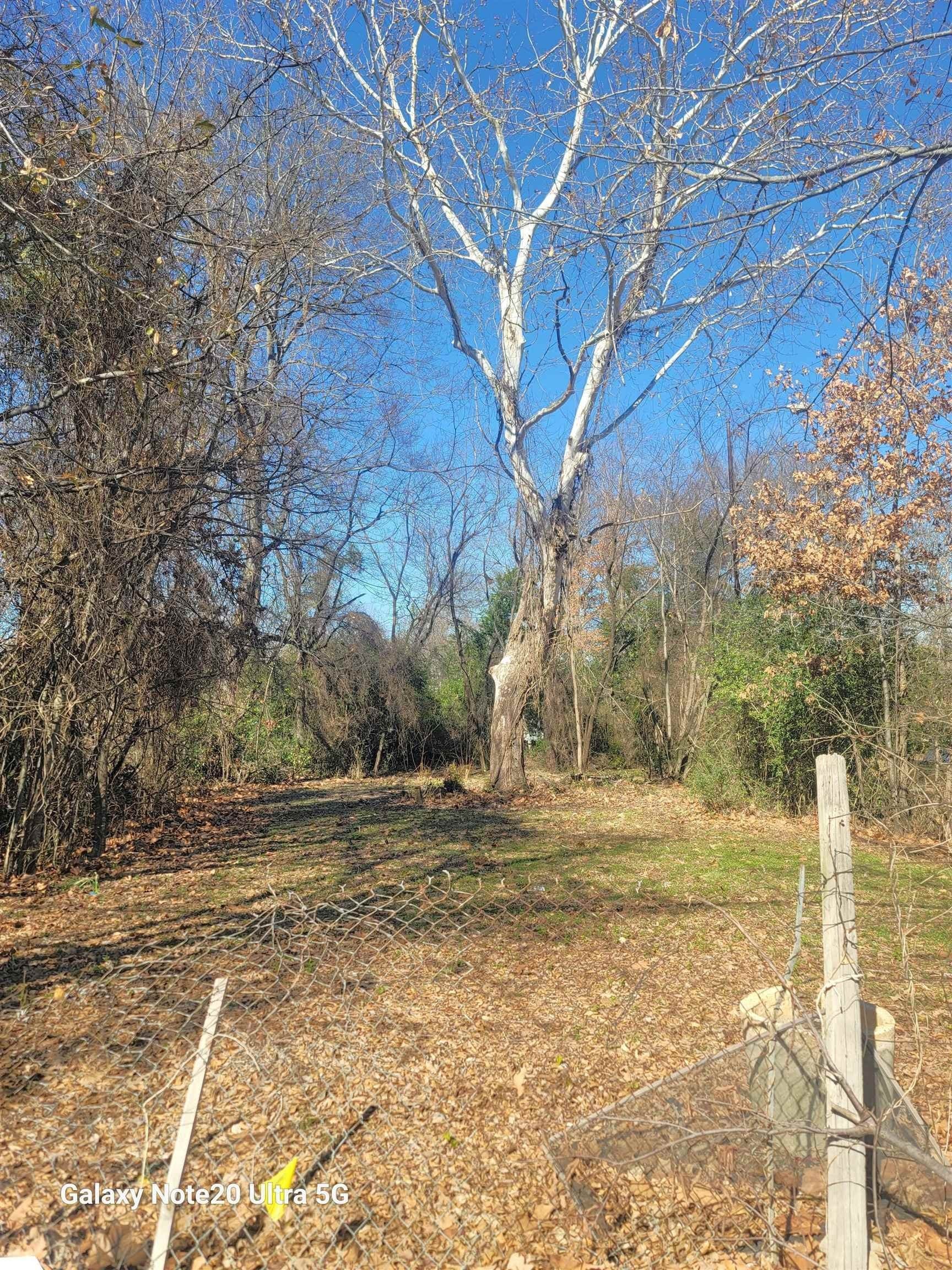 0.32 acres in Gregg County gallery image 2