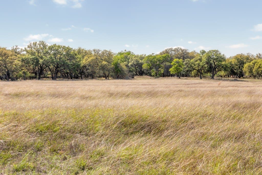 53.74 acres in Blanco County - photo 42