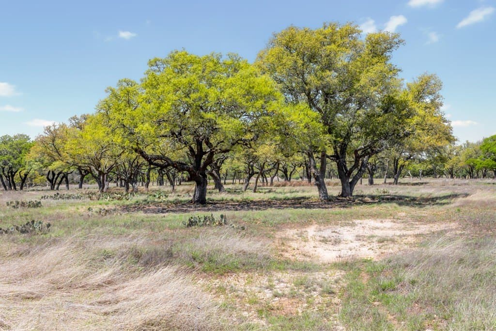 53.74 acres in Blanco County - photo 41