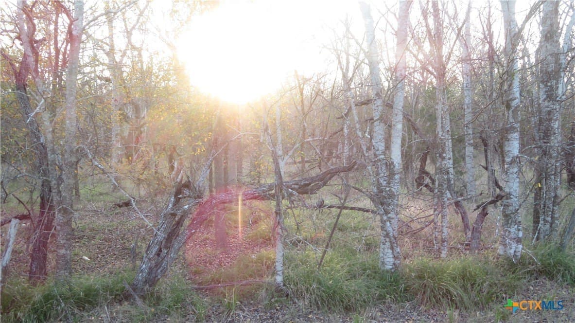 25.86 acres in Jackson County - photo 9