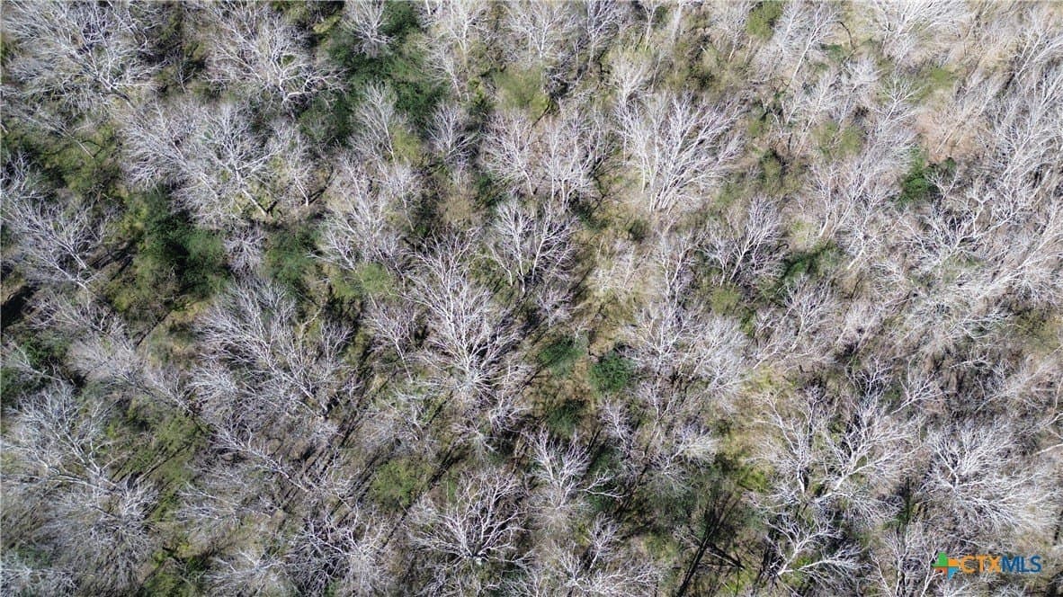 25.86 acres in Jackson County - photo 24