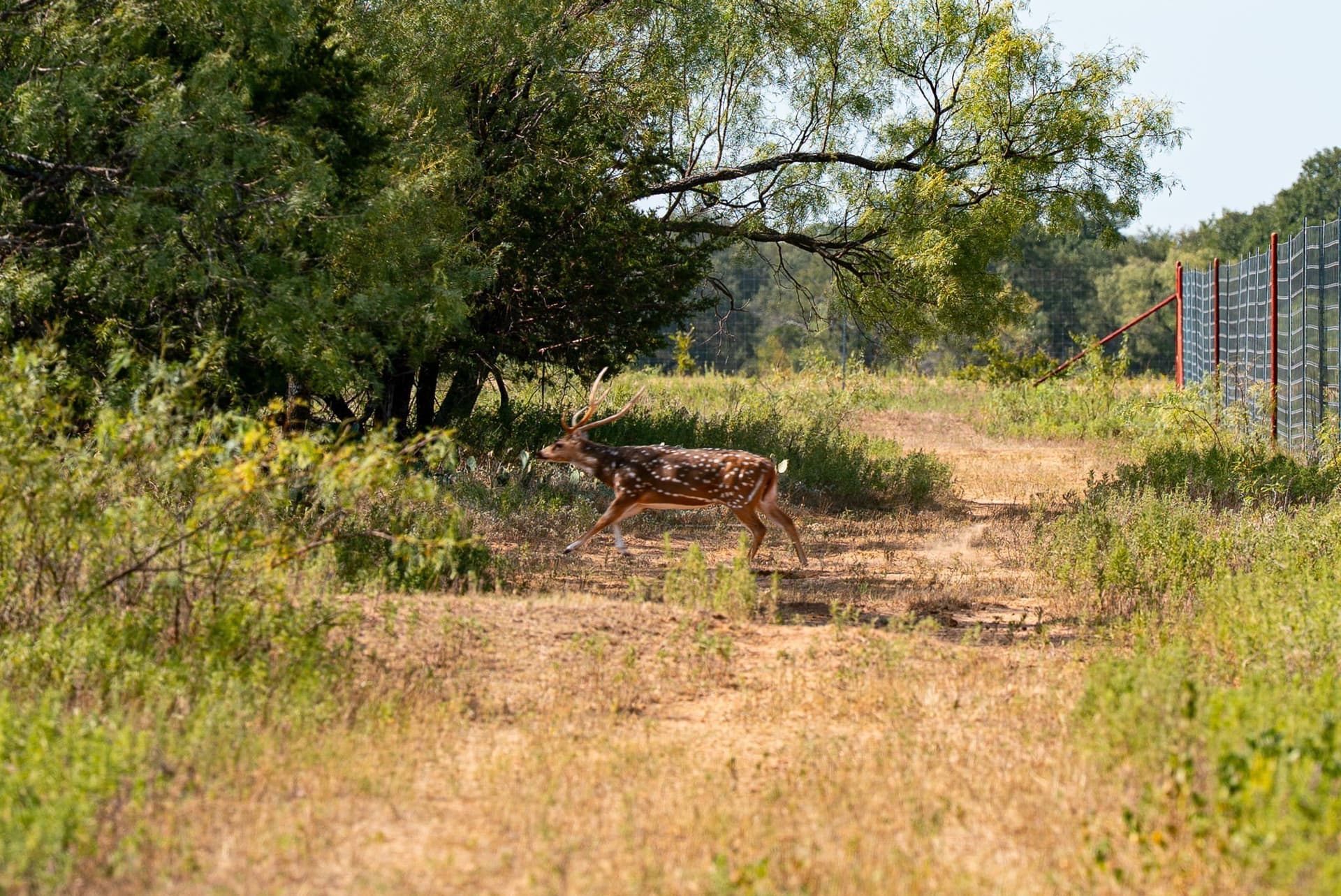 34.08 acres in Palo Pinto County - photo 9
