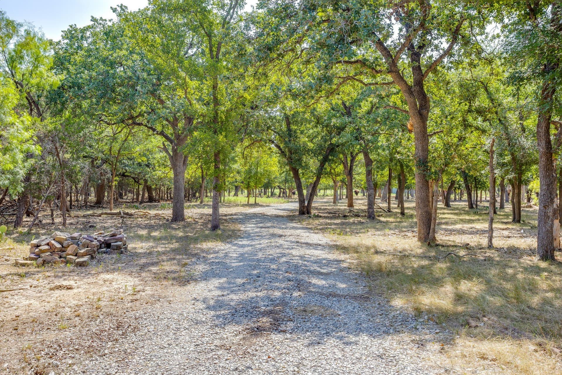 34.08 acres in Palo Pinto County - photo 14