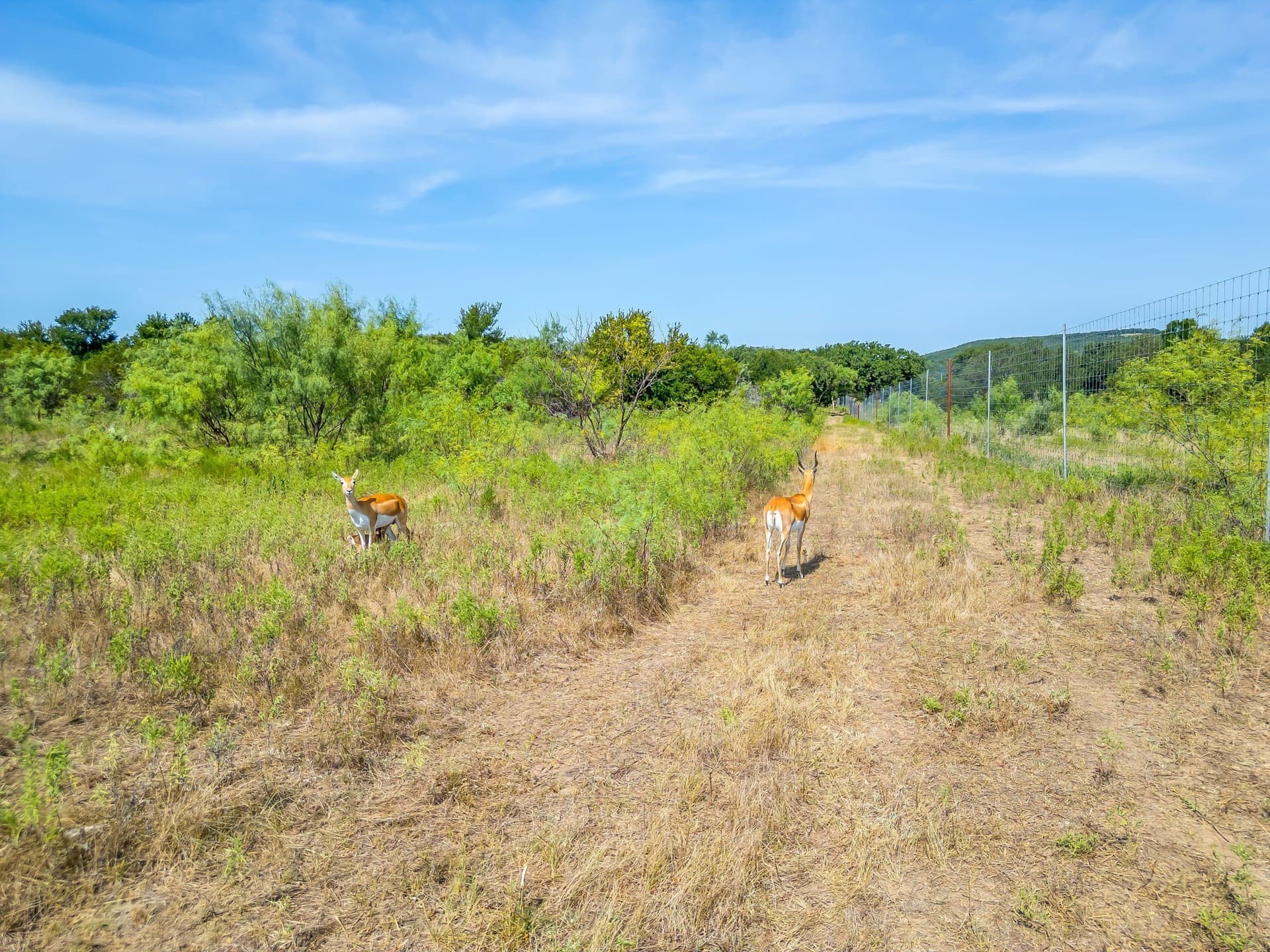 34.08 acres in Palo Pinto County - photo 26