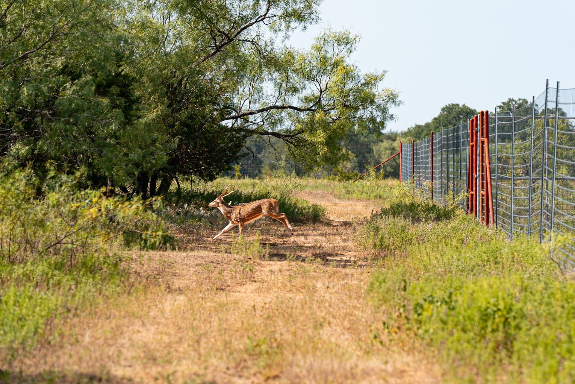 34.08 acres in Palo Pinto County - photo 11